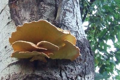 Прикрепленное изображение: 02.jpg